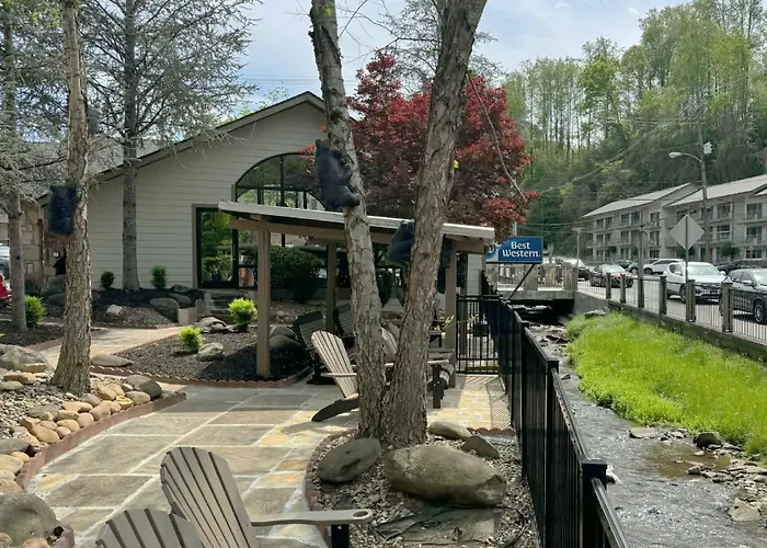 Best Western Johnson'S Inn Downtown Gatlinburg