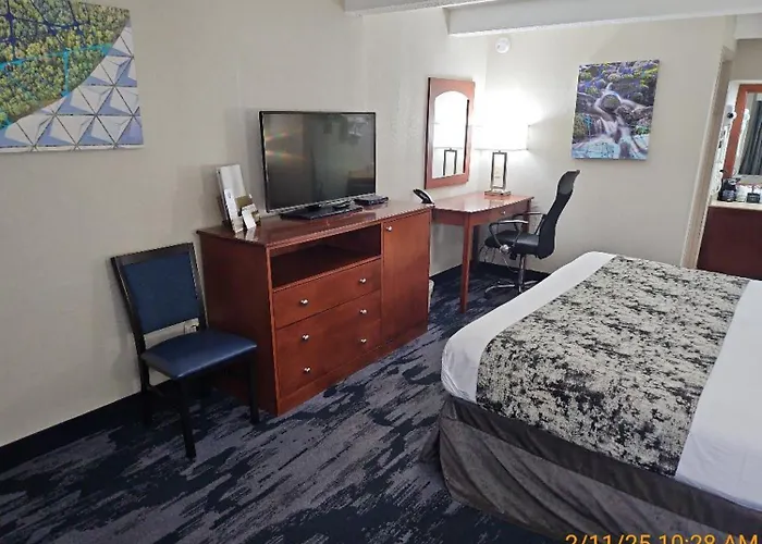 Best Western Montis Inn