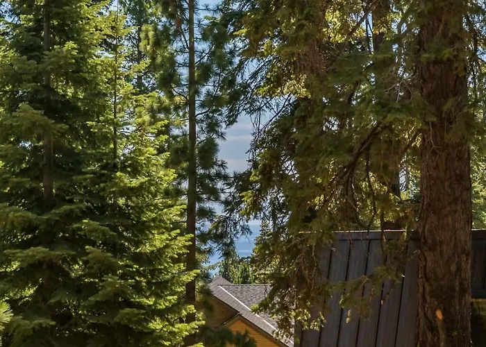 Honey Bear Cabin