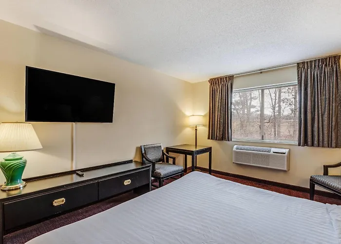 Econo Lodge Whitehall Near Michigan'S Adventure