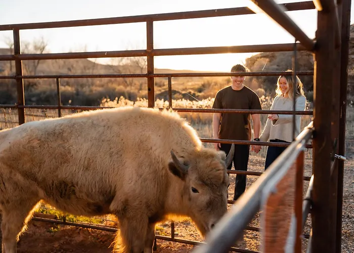 Zion White Bison Glamping & Rv Resort