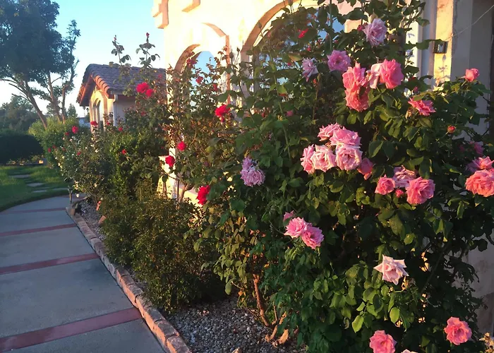 Romantic Villa In Pool Oasis Walk To Wineries