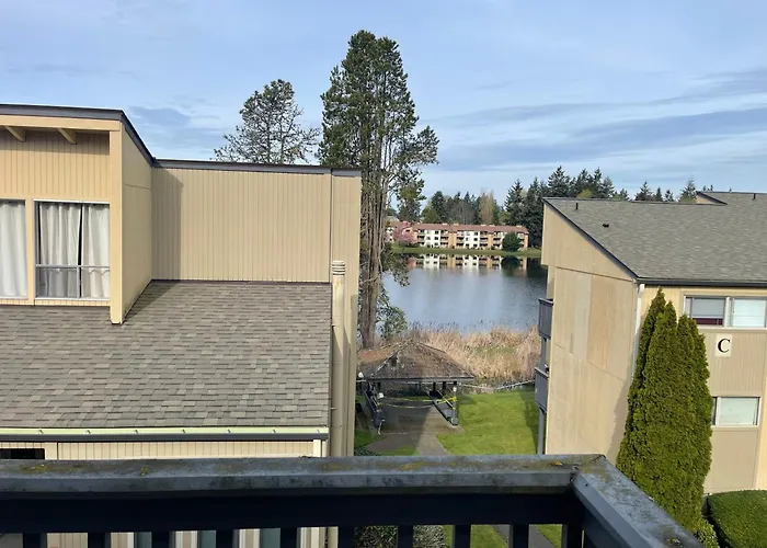 Shared Space With Private Room In Beautiful Lakefront Apartment