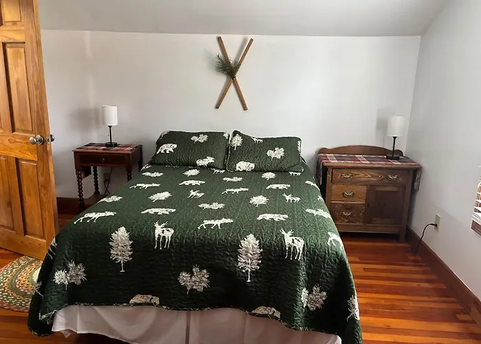 Moose Riverside Bungalow 3Br Home Old Forge Ny