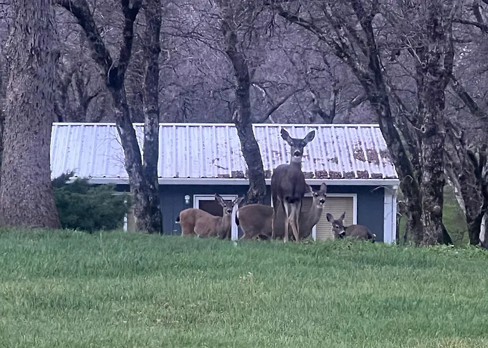 Fish, Hike & Relax: Rural Red Bluff Cottage