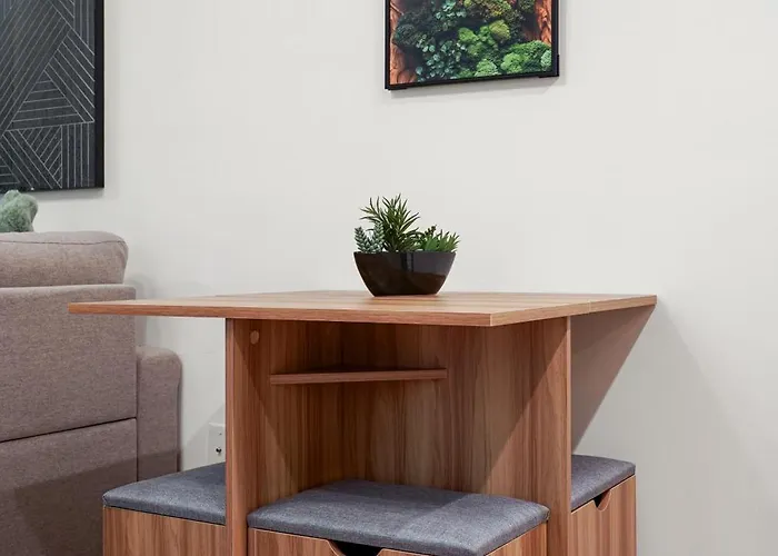 Modern 1Br 1Bath With Living Area Near Sfsu