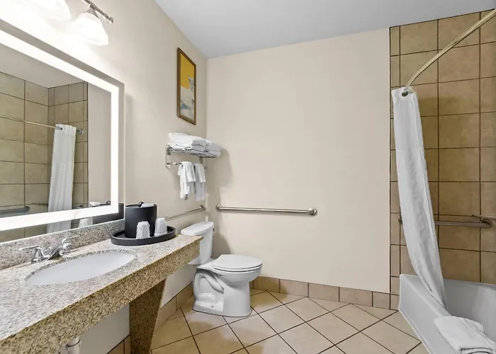 Comfort Suites San Antonio North - Stone Oak