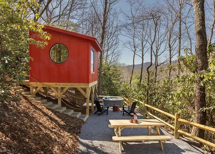 The Cardinal Treehouse