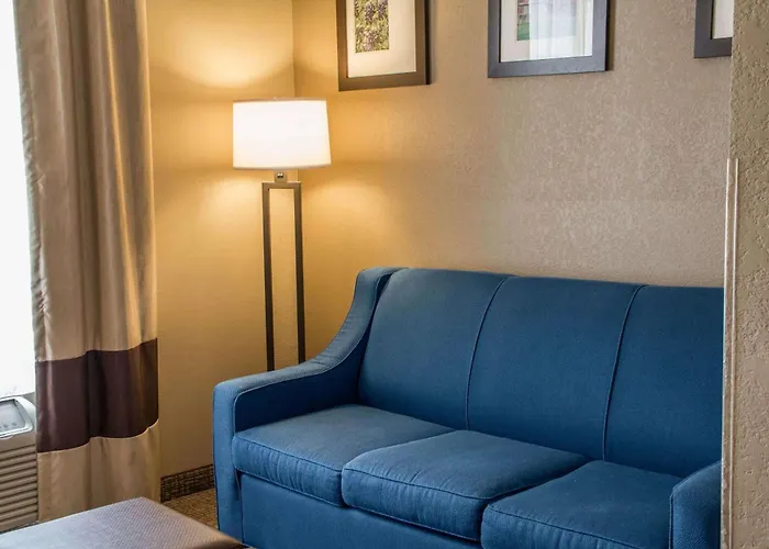 Comfort Suites New Braunfels - San Antonio Area