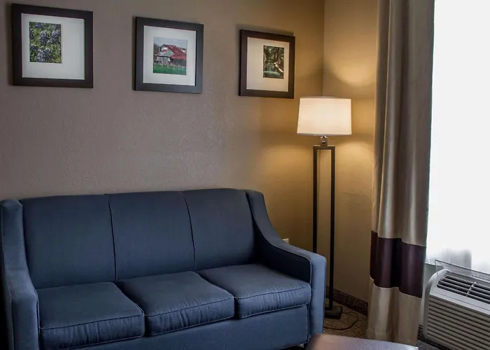 Comfort Suites New Braunfels - San Antonio Area