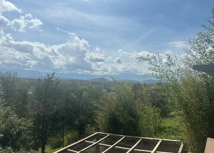 Private Pet Friendly Home Near Exotic Deer Farm Close To Pigeon Forge, Gatlinburg Tn