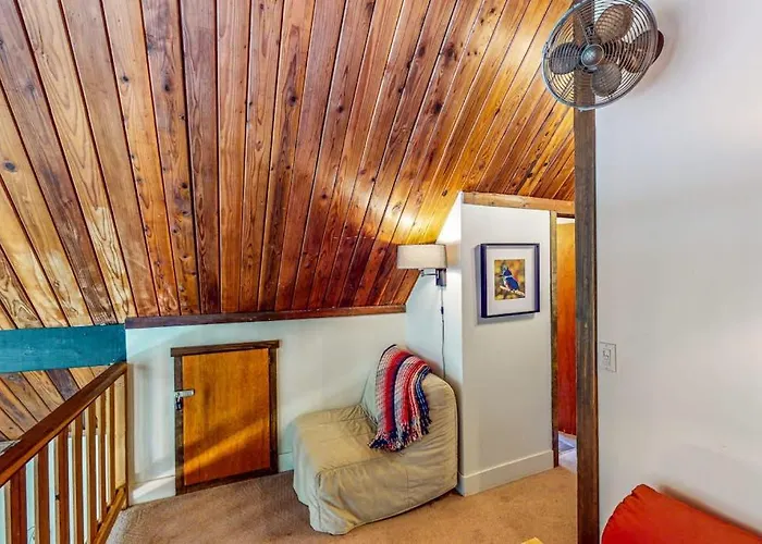 Cazadero Dreams