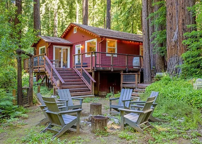 Caz Cabin 6