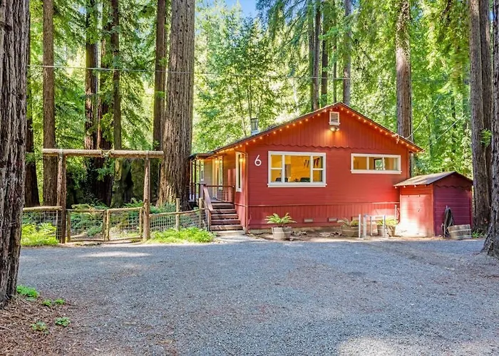 Caz Cabin 6