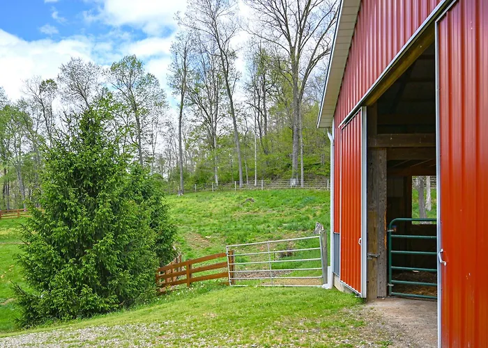 Tiny Home W/ Hot Tub & Mini Highland Cows!