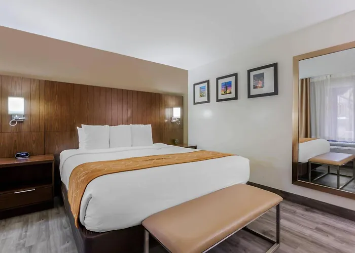 Comfort Suites Tucson Near Sabino Canyon