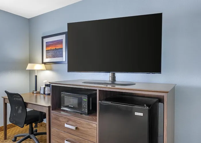 Best Western South Plains Inn & Suites