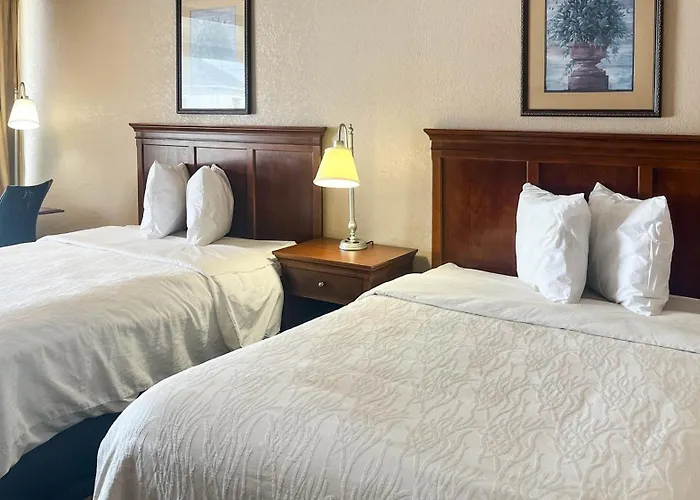 Motel 6 Williamston, Nc - Highway 17