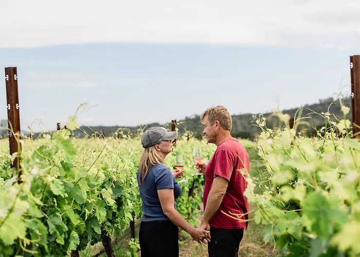 Huttopia Wine Country - Northern California