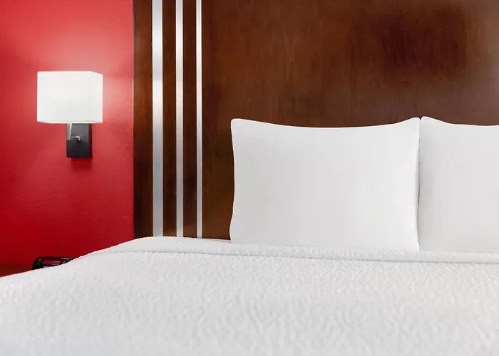 Ramada By Wyndham San Antonio Near Seaworld - Lackland Afb