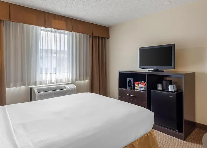 Best Western Seattle Airport Hotel