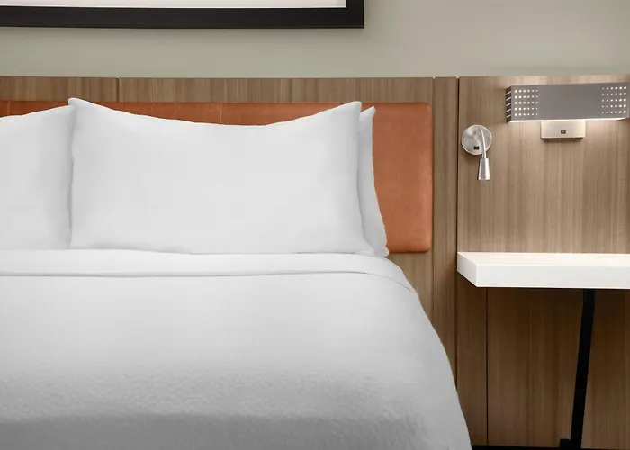 Hilton Garden Inn Dallas Lewisville