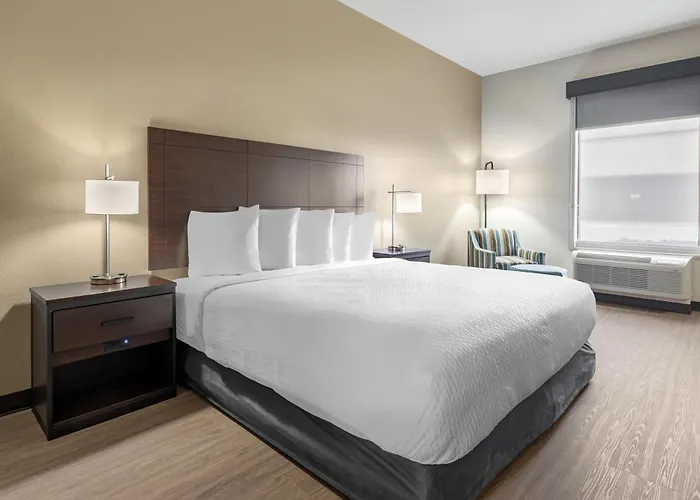 Best Western Plus Mckinney Inn And Suites