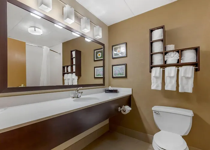 Comfort Suites Regency Park