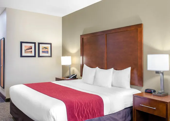 Comfort Inn & Suites Covington - Mandeville