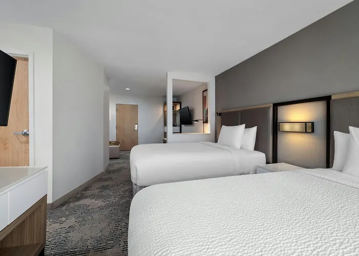 Springhill Suites Dallas Arlington North
