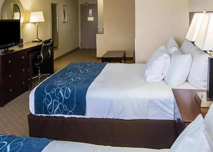 Comfort Suites University Area Notre Dame-South Bend