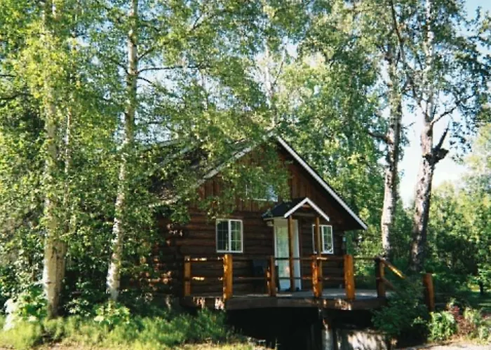 Denali Fireside Cabin & Suites