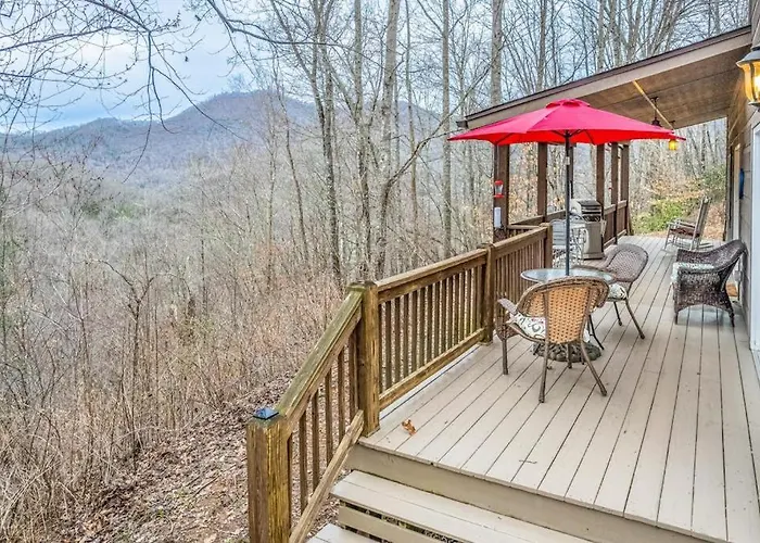 Tree Top Cabin