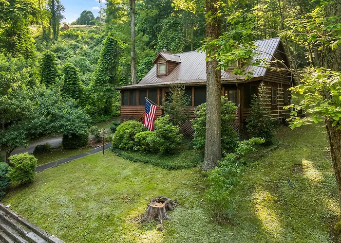 The Mountain Forager Cabin, Bryson City Nc
