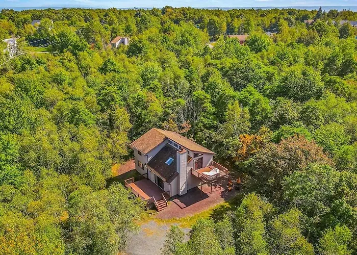 House In The Woods