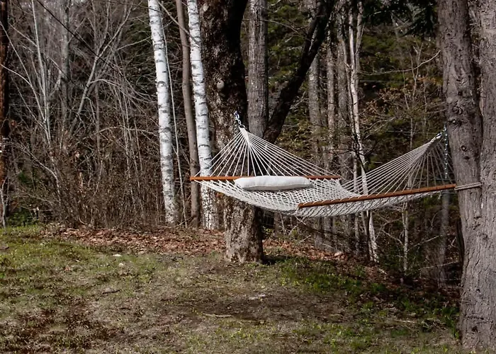 Birch House: Cozy Cabin 5 Min From Okemo
