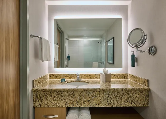 Hotel Zessa Orange County Airport, A Doubletree By Hilton