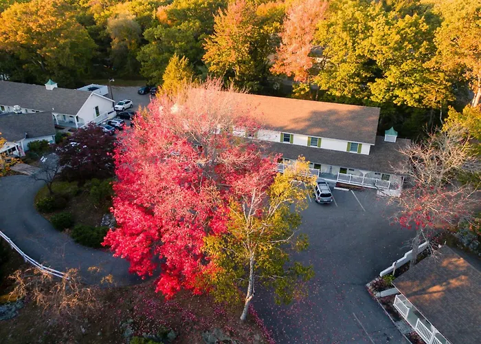 The Lodge On The Cove