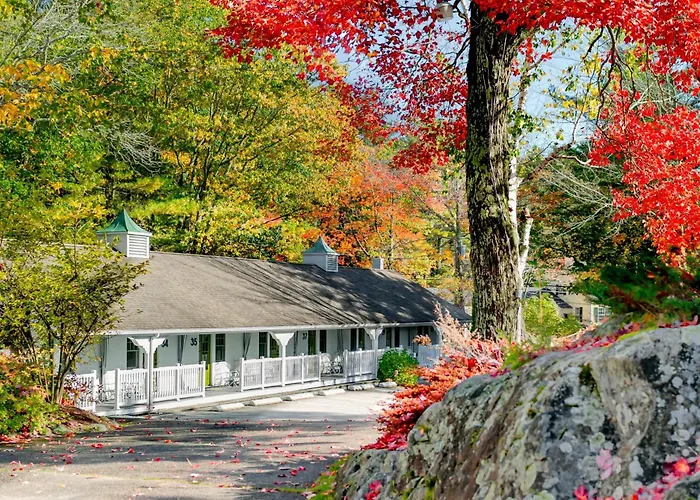 The Lodge On The Cove