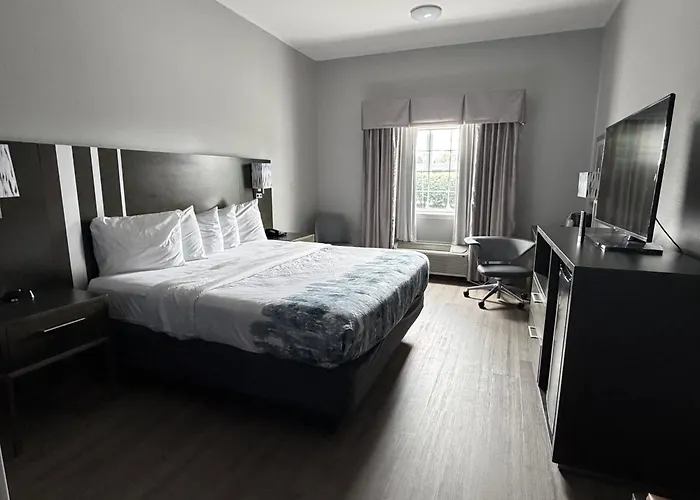 Guesthouse Inn & Suites Lexington