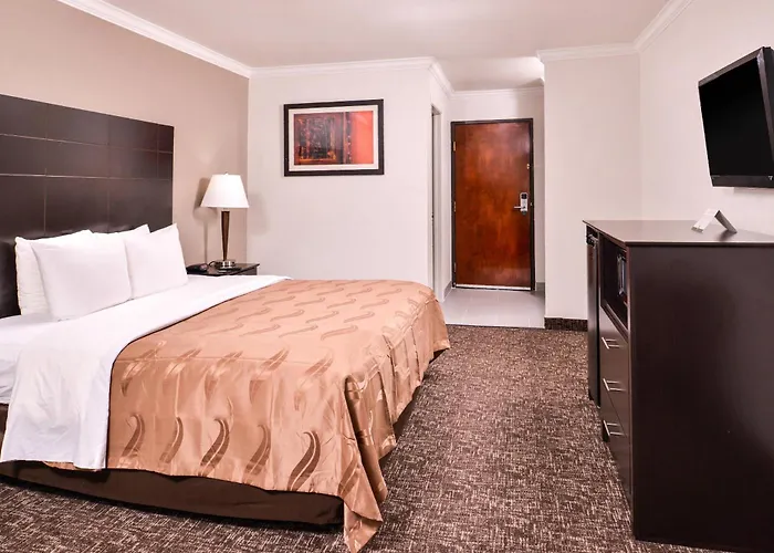 Quality Inn & Suites Beaumont
