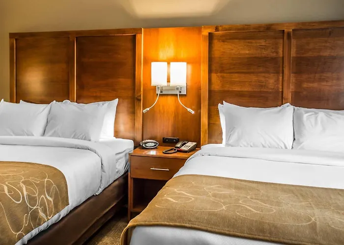 Comfort Suites Hartville-North Canton