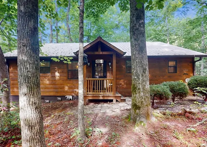 Bear Necessity Cabin