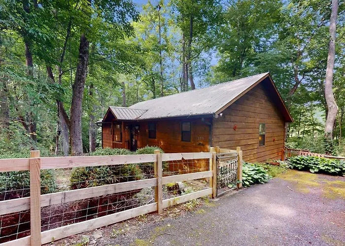 Bear Necessity Cabin