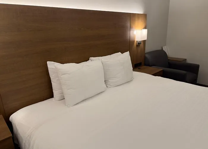 Superior Stay Hotel
