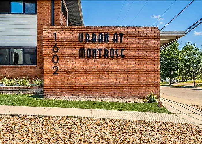Montrose Fifa Stay - 12