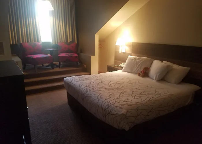 Roosevelt Inn Mount Rushmore