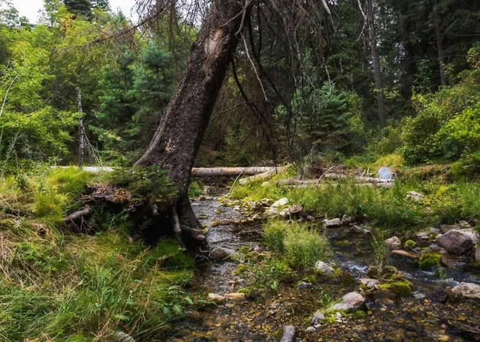 Cottage On The Stream Sundance, Utah