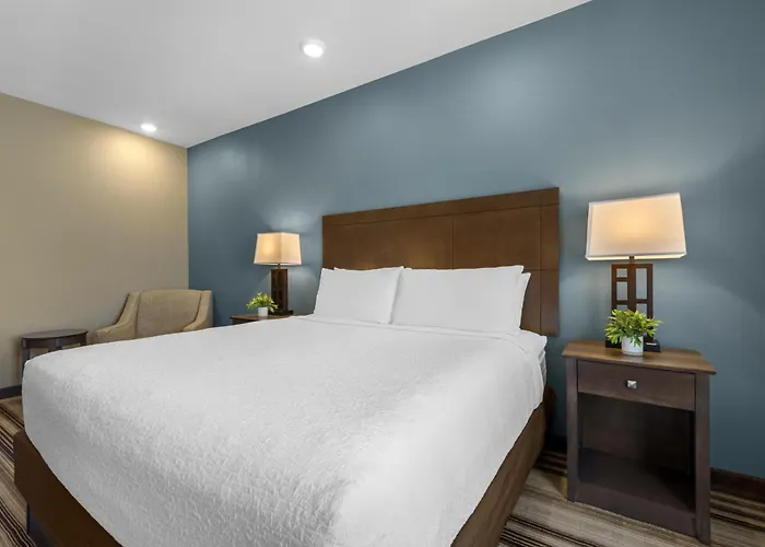 Best Western Plus Overland Inn
