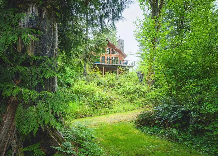 Olympic Nat'L Park Base: Luxe Port Angeles Cabin